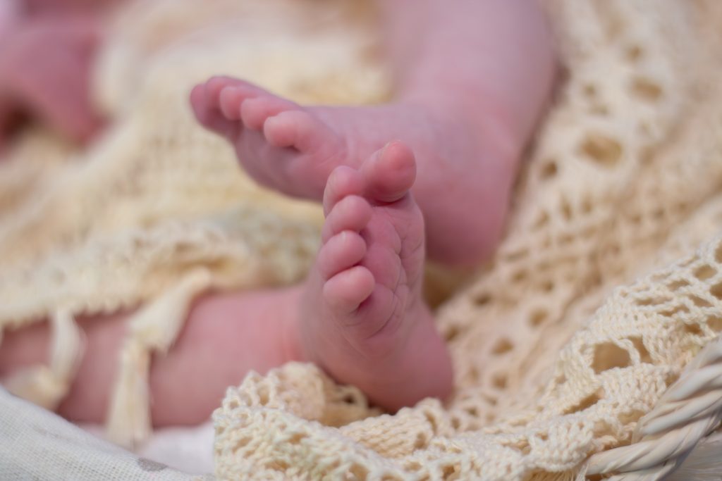 Dans l'Objectif de Lulu Séance photos